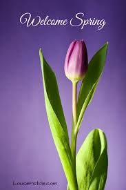 Welcome Spring A Promise Of New Beginnings Inspiration Good Night Love Messages Happy Birthday Quotes Garden Quotes
