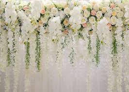 If you like, you can download pictures in icon format or directly. Wedding Decoration Backdrop White Rose Floral Wall Photography Background 7x5 Ft Ebay
