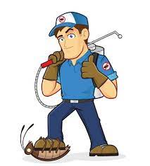 Short term savings could, however, end up costing you thousands in. Diy Vs Professional Pest Control Services Green Solutions Lpcgreen Solutions Lpc