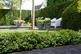 Check out our flowers of sulfur selection for the very best in unique or custom, handmade pieces from our craft supplies & tools shops. Test Lawn Garden Retailer