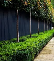 I love the balanced look of the metal panels with a wooden frame. Make Your Garden Fences Disappear With This Surprising Color