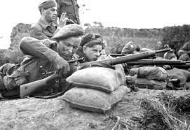 Enfield Pattern 1914 (Rifle, .303 Pattern 1914)