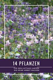 Ode An Die Herbstanemone 11 Grunde Warum Sie In Keinem Garten Fehle Garten Garten Pflanzen Cottage Garten