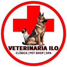 Veterinaria Ilo