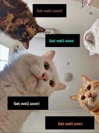 Pics To Say Get Well Soon 50 Funny Cards For Free