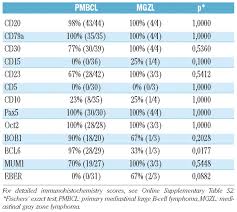 I am a cancer survivor myself and just now joined the network because my best friend has grey zone lymphoma. Clinical Pathological And Genetic Features Of Primary Mediastinal Large B Cell Lymphomas And Mediastinal Gray Zone Lymphomas In Children Haematologica