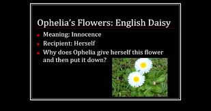 Florists, flower, flowers, wedding flowers, bouquets, kabloom, fruit baskets, funeral flowers, mothers day, valentines, easter, roses, plants, gourmet food baskets, tulips, orchids, daisies and more in columbia, mo. Ophelia S Flowers Youtube