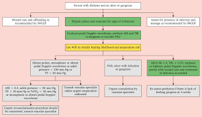 Image result for IDSA Diabetic Foot Wound Classification