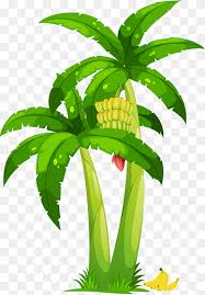 We offer you for free download top of palma clipart pictures. Tanaman Palma Png Pngwing