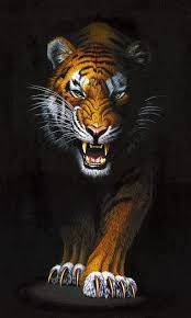 45 Iphone Wallpapers Beautiful Iphone Wallpapers Hd Walls In 2020 Tiger Wallpaper Tiger Wallpaper Iphone Tiger Artwork