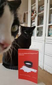 Moonlightcat13 Okuma Halleri Fotograflarla Bir Kedi Bir Adam Kedi Okuma Ayi