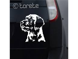 Image result for štýrský brakýř