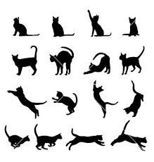 Susan Montoya Adli Kullanicinin Cats Panosundaki Pin Kedi Dovmeleri Siyah Sanat Kara Kedi