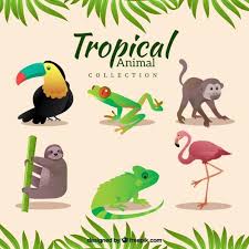 Download Variety Of Tropical Animals For Free Tropical Animals Etsy Digital Art Tropical