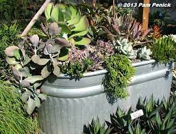 Pin On Garden