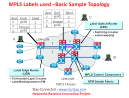 Today I Am Going To Talk About All The Labels Used In The Mpls Network Some Of You Are Already Aware Of The Lab Mpls Network Cisco Networking What Is Software