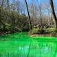 St. Patrick’s Day Celebration