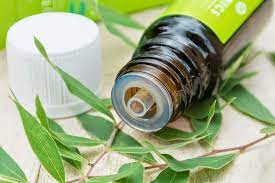 Tea Tree Oil To Get Rid Of Smelly Belly Button Tea Tree Oil Benefits Tee Tree Oil Coconut Oil For Skin