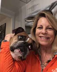 Virtual Conference 2020