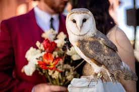 If you have guests that are not harry potter fans, place them at the muggles table! A Magical Harry Potter Themed Wedding