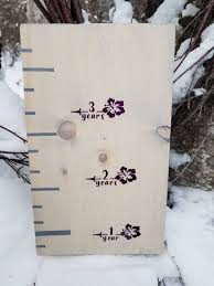 Height Markers For Girls Hibiscus Flower Growth Chart