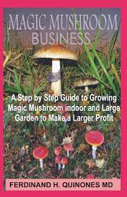Magic Mushroom Business The Step By Step Guide To Magic Mushroom Farming Business And Thereby Make A Lot Of Profit Quinones Ferdinand H 9781794240452 Amazon Com Books
