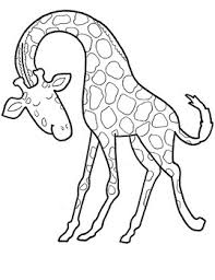 You can use our amazing online tool to color and edit the following giraffe coloring pages. Gerald The Giraffe Coloring Sheet By Preschool Mom Diaries Tpt