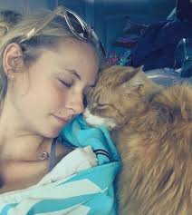 Does anyone know what type of cat my cat is? We found him in the drain two  years ago when he was just a little kitten. Not too sure what he is (