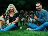Browse thru thousands of boxer dogs for adoption in maine, usa area , listed by dog rescue organizations and individuals, to find your match. Boxer Puppies For Sale In Maine Boxer Breeders And Information
