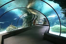 The Tunnel Travel Nebraska Omaha Zoo Places To Go
