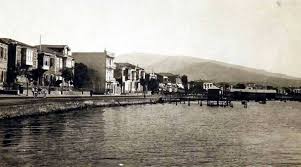 Karsiyaka Resimler Agac