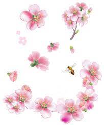 Spring Pink Trees Flowers Png Clipart Pink Spring Flowers Cherry Blossom Painting Flower Clipart