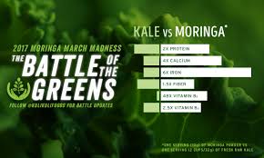 Battle Of The Greens Moringa Vs Kale Kuli Kuli Foods
