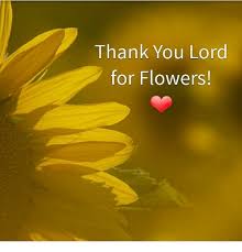 We did not find results for: Thank You Lord For Flowers Meme On Me Me