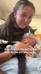 She has a neurological disorder guys… #catsoftiktok #disabledcats #fyp  #foryou #foryoupage #fypシ #onthisday