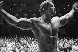Top 30 Greatest Arnold Schwarzenegger Quotes