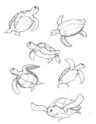 Learn to draw sea animal in a easy way. Easy Pencil Drawings Of Sea Animals Pencildrawing2019