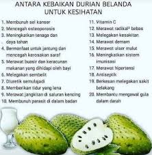 Selain rasanya yang begitu sedap, ia juga mengandungi 2) sakit pinggang ambillah 20 helai daun durian belanda. Jus Durian Belanda Blunk Do S Koperasi Bimbingan Insan Pahang Berhad Kobi