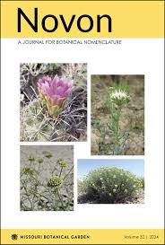 Image result for Ellipanthus