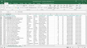 Microsoft Excel 2016 Recording A Macro To Import A Plain Text File Youtube