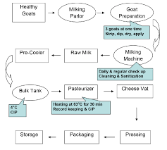 Haccp Flow Diagram Of Milking And Processing Procedures For
