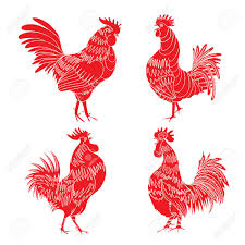 2017 is a fire rooster year. Set Of Roosters As Animals Zodiac Symbols For Chinese New Year 2017 Hand Drawing Collection Of