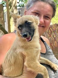 Mickalyla's forever home in Michigan with grandma