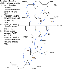 Strongway auto (m) sdn bhd. Poly Lactic Acid Natural Rubber Kenaf Biocomposites Production Using Poly Methyl Methacrylate And Epoxidized Natural Rubber As Co Compatibilizers Springerlink