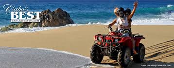 Scuba diving tours allow you to witness black coral. Best Tours In Cabo Atv And Razor Offroad Desert And Beach Plus Horseback Rides