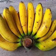 Indonesianbanana #pisangrajabulu #pisangrajasajen pisang raja bulu ( raja sajen ) hasil panen dari kebun belakang. Pisang Raja Rajanya Semua Pisang Halaman All Kompasiana Com