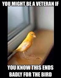 Birds Outside My Window Meme Yellow Bird Army Humor Military Jokes Military Humor