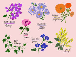 But i mean also like if there was a guy i didn't even date but we were talking together for half a year and when we met, because it was internet, and he was in holland and i was in denmark so we met after half a year. The Language Of Flowers Life Frankie Magazine Australian Fashion Magazine Online