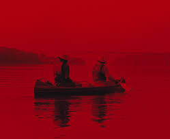 Come spiegare a mio padre che i funghi psichedelici fanno bene?