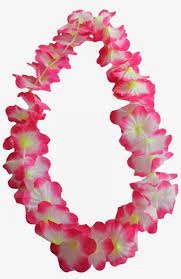 10 Flower Lays Hawaii Png Hawaiian Lei Flower Image Icon Flowers